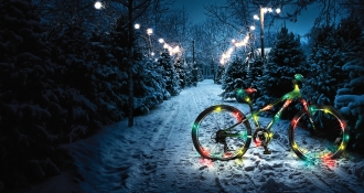 Reserve your bike for Christmas