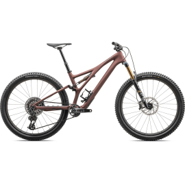  Stumpjumper Pro T-Type 2023 MODEL SATIN RUSTED RED/DOVE GREY