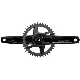  POWER METER RIVAL 1 AXS DUB WIDE 46T