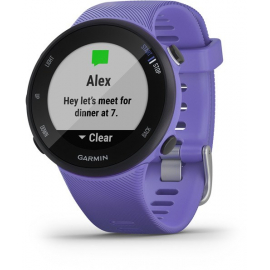 Forerunner 45 GPS Watch - Iris Purple